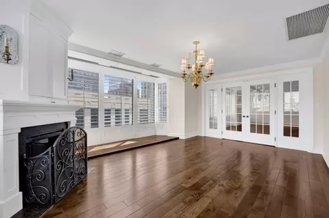 Living - 40 E Delaware Pl #1702, Chicago, IL 60611 photo 4 of 11
