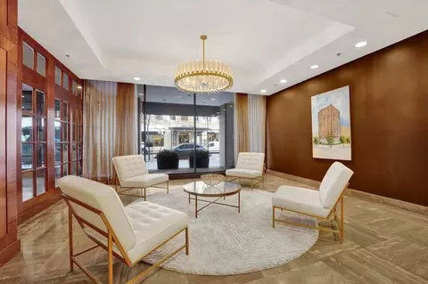 Living - 40 E Delaware Pl #1702, Chicago, IL 60611 photo 11 of 11