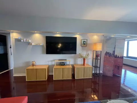 Living - 175 E Delaware Pl #6706, Chicago, IL 60611 photo 5 of 10