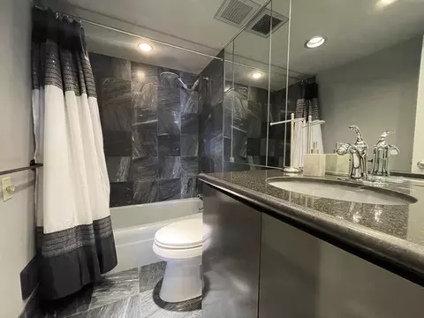 Bath - 175 E Delaware Pl #6706, Chicago, IL 60611 photo 1 of 4