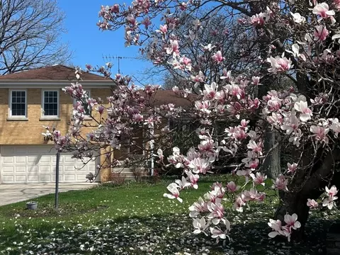 1341 Carlisle Pl, Deerfield, IL 60015