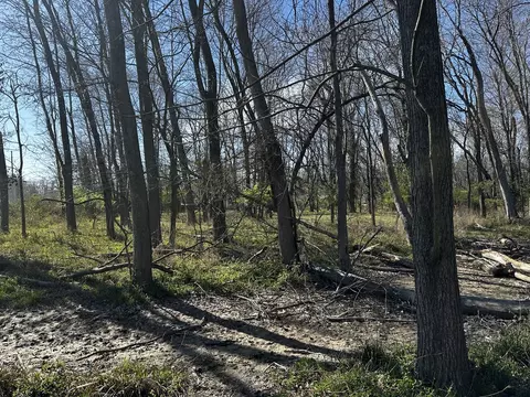 tbd Beckman Rd, Mount Vernon, IL 62864