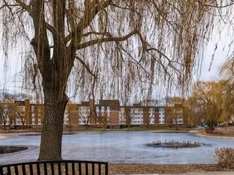 225 Lake Blvd #517, Buffalo Grove, IL 60089