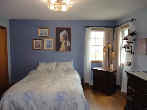 Bedroom - 144 Winding Trl, Diamond, IL 60416 photo 2 of 3