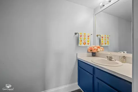 Other - 2813 Twin Falls Dr, Plainfield, IL 60586 photo 5 of 9