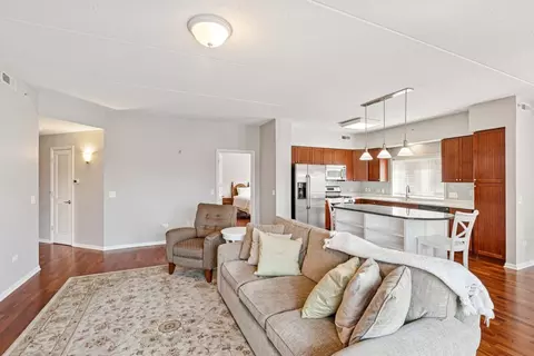 Living - 1277 E Thacker St #303, Des Plaines, IL 60016 photo 3 of 3