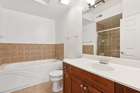 Bath - 1277 E Thacker St #303, Des Plaines, IL 60016 photo 1 of 4