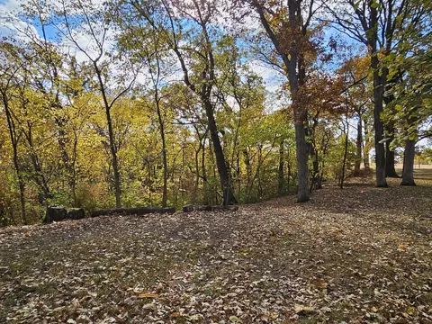 Exterior - 404 Oak Dr, Roberts, IL 60962 photo 7 of 9