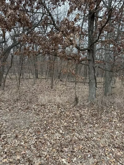 lot24 S Eagle Chase Dr, Seneca, IL 61360