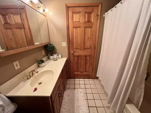 Bath - 233 Dunivan Rd, Murphysboro, IL 62966 photo 4 of 5