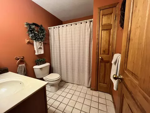 Bath - 233 Dunivan Rd, Murphysboro, IL 62966 photo 5 of 5
