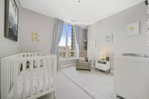 10 E Delaware Pl #18E, Chicago, IL 60611 photo 30