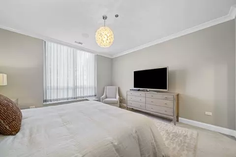 10 E Delaware Pl #18E, Chicago, IL 60611 photo 21