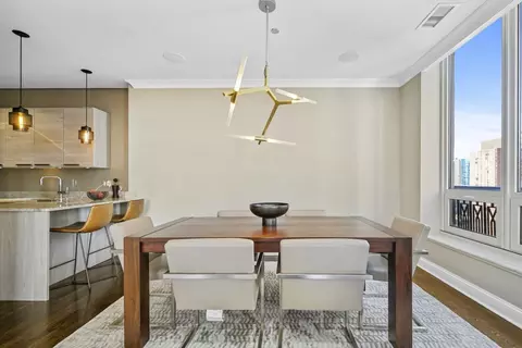10 E Delaware Pl #18E, Chicago, IL 60611 photo 8