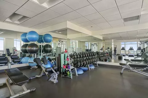 10 E Delaware Pl #18E, Chicago, IL 60611 photo 52