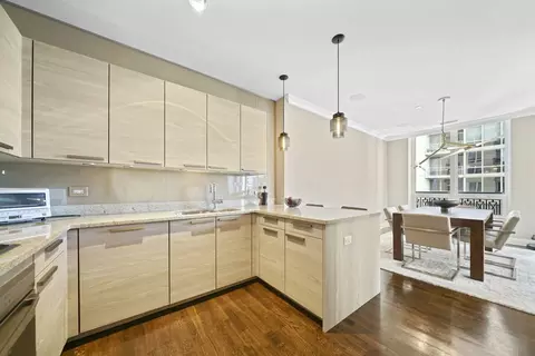 10 E Delaware Pl #18E, Chicago, IL 60611 photo 10