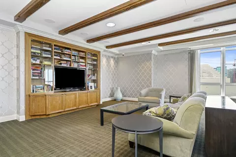 10 E Delaware Pl #18E, Chicago, IL 60611 photo 48