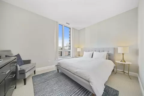 10 E Delaware Pl #18E, Chicago, IL 60611 photo 27