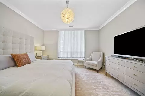 10 E Delaware Pl #18E, Chicago, IL 60611 photo 20