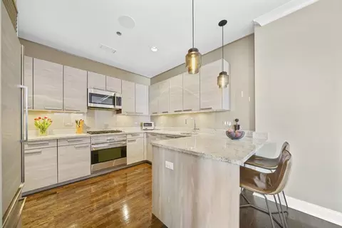 10 E Delaware Pl #18E, Chicago, IL 60611 photo 13