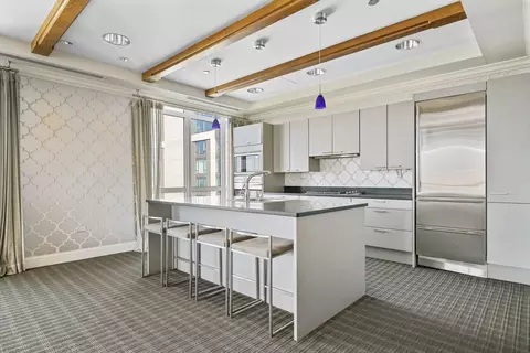 10 E Delaware Pl #18E, Chicago, IL 60611 photo 46