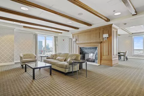 10 E Delaware Pl #18E, Chicago, IL 60611 photo 49