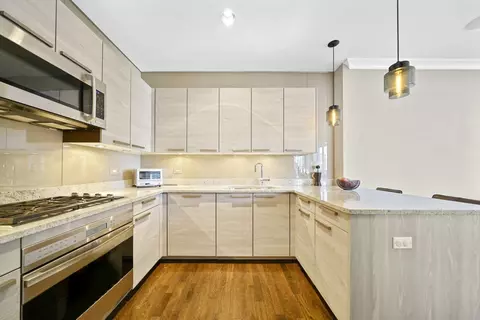 10 E Delaware Pl #18E, Chicago, IL 60611 photo 11