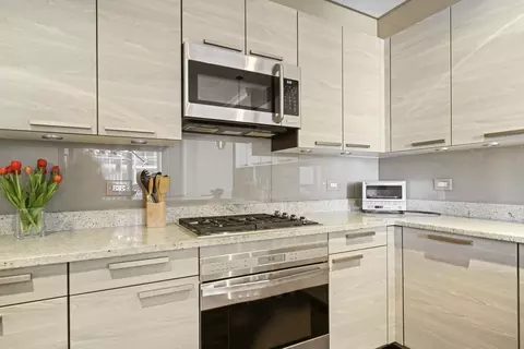 10 E Delaware Pl #18E, Chicago, IL 60611 photo 12