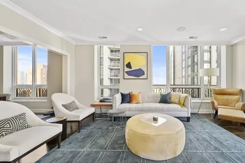 10 E Delaware Pl #18E, Chicago, IL 60611 photo 4