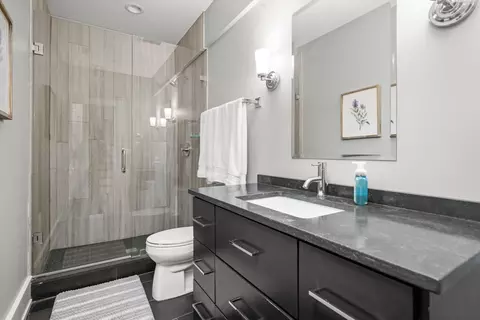 Bath - 619 Jackson Ave, River Forest, IL 60305 photo 4 of 4