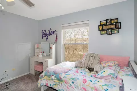 Bedroom - 25181 Faraday Rd, Manhattan, IL 60442 photo 3 of 5