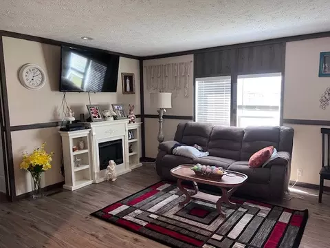 Living - 344 Seba St, Hurst, IL 62949 photo 2 of 2