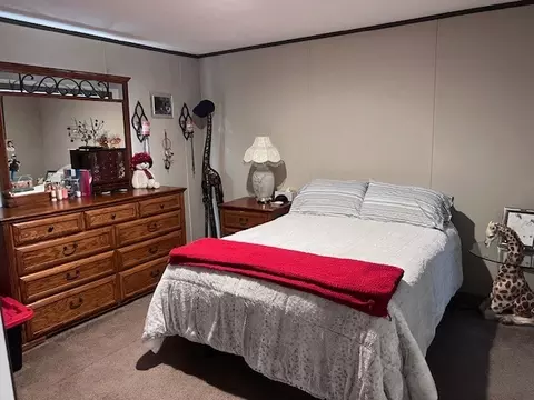 Bedroom - 344 Seba St, Hurst, IL 62949 photo 2 of 4