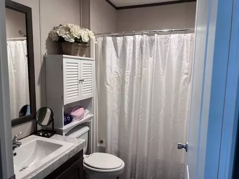 Bath - 344 Seba St, Hurst, IL 62949 photo 3 of 3