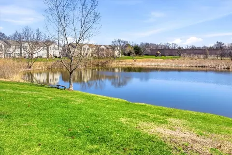 View/Area - 2542 Oak Tree Ln, Plainfield, IL 60586 photo 1 of 1