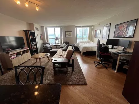 Living - Undisclosed, Chicago, IL 60611 photo 3 of 5