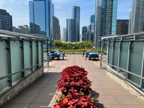 Exterior - Undisclosed, Chicago, IL 60611 photo 1 of 4