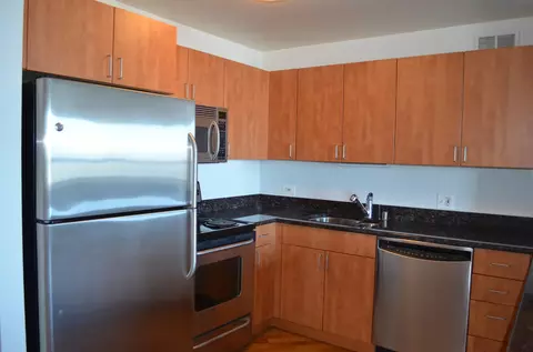 Kitchen - Undisclosed, Chicago, IL 60611 photo 2 of 2
