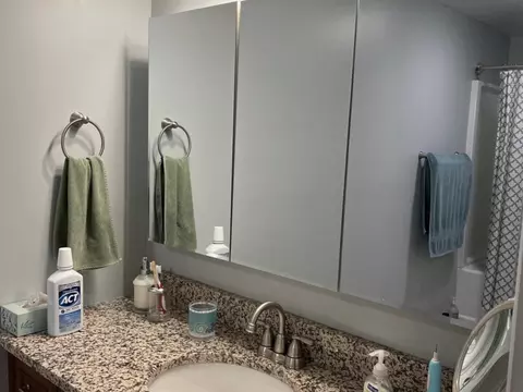 Bath - 1690 Darwin Ct, Wheaton, IL 60189 photo 1 of 2