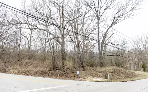 lot19 Lot 18 Williams Rd, Lake Marian, IL 60110
