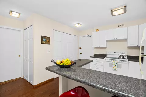 Kitchen - Undisclosed, Chicago, IL 60610 photo 3 of 3