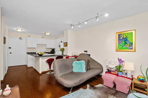 Living - Undisclosed, Chicago, IL 60610 photo 2 of 4