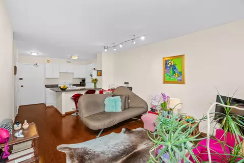 Living - Undisclosed, Chicago, IL 60610 photo 4 of 4