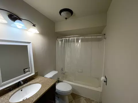 Bath - 19360 Wolf Rd #8, Mokena, IL 60448 photo 1 of 2
