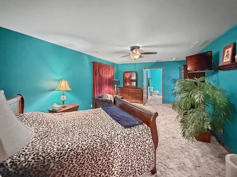Bedroom - 167 N Eagle Island Rd, Kankakee, IL 60901 photo 3 of 3