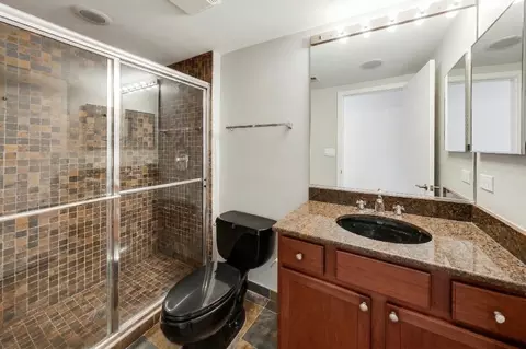Bath - 1069 W 14th Pl #228, Chicago, IL 60608 photo 1 of 1