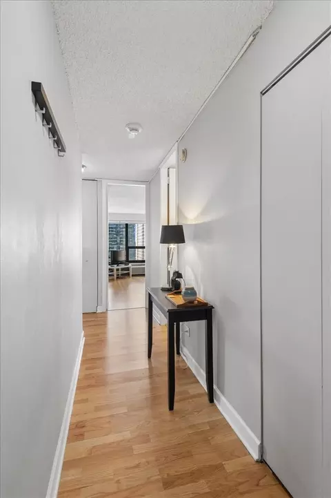 Entry Way - 30 E Huron St #2204, Chicago, IL 60611 photo 1 of 1
