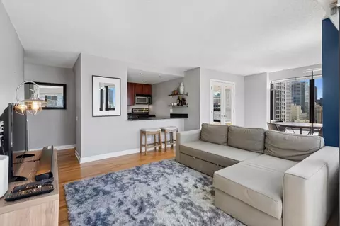Living - 30 E Huron St #2204, Chicago, IL 60611 photo 2 of 5