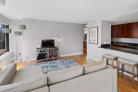 Living - 30 E Huron St #2204, Chicago, IL 60611 photo 3 of 5