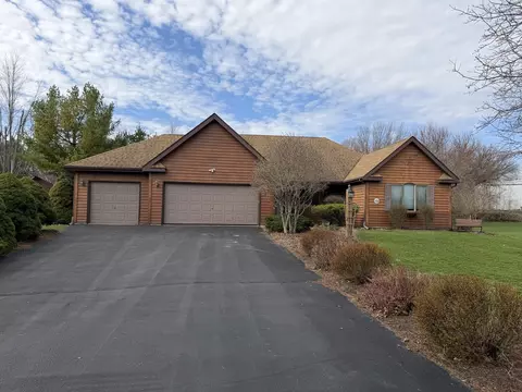25038 S Timber Ct, Elwood, IL 60421